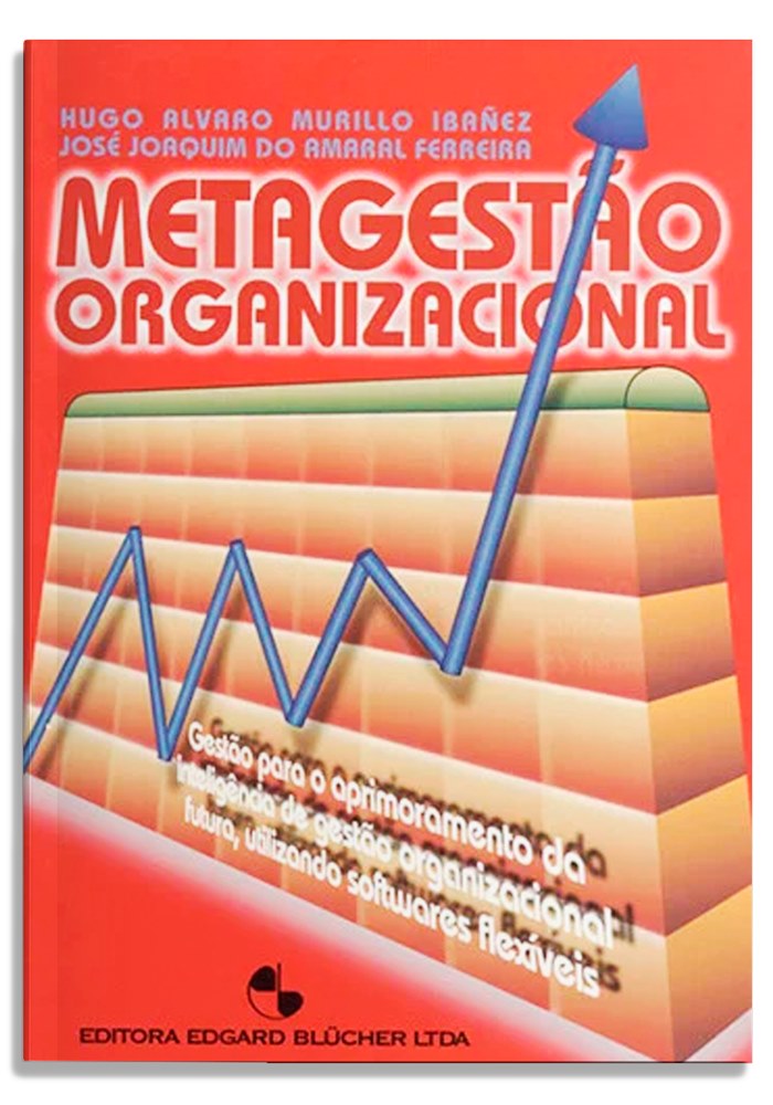 Metagestão organizacional