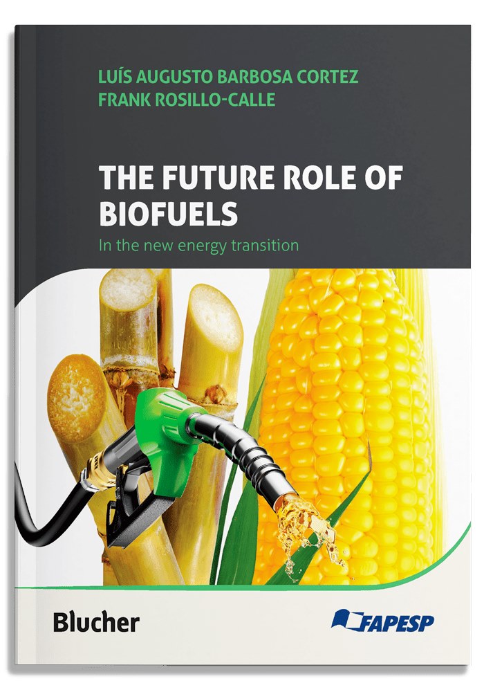 The Future Role of Biofuels in the New Energy Transition