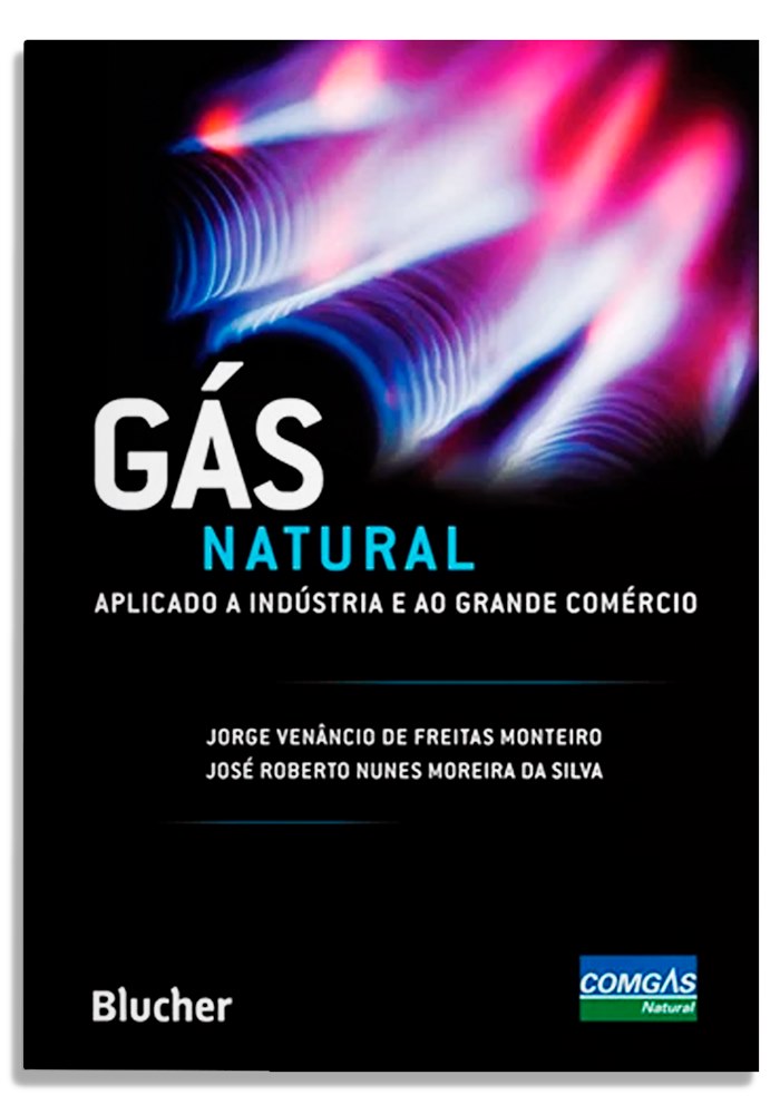 Gás natural aplicado à indústria e ao grande comércio