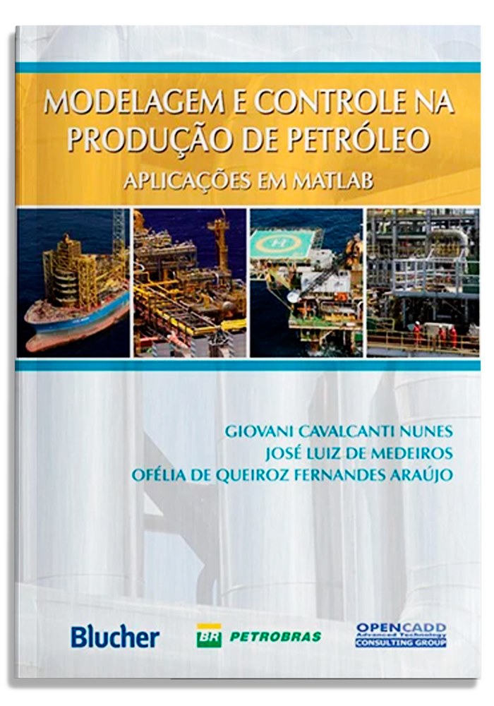 Modelagem e controle da produção de petróleo