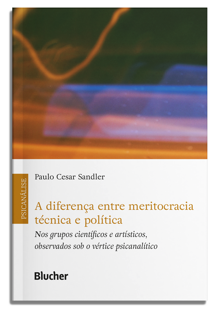 A diferença entre meritocracia técnica e política