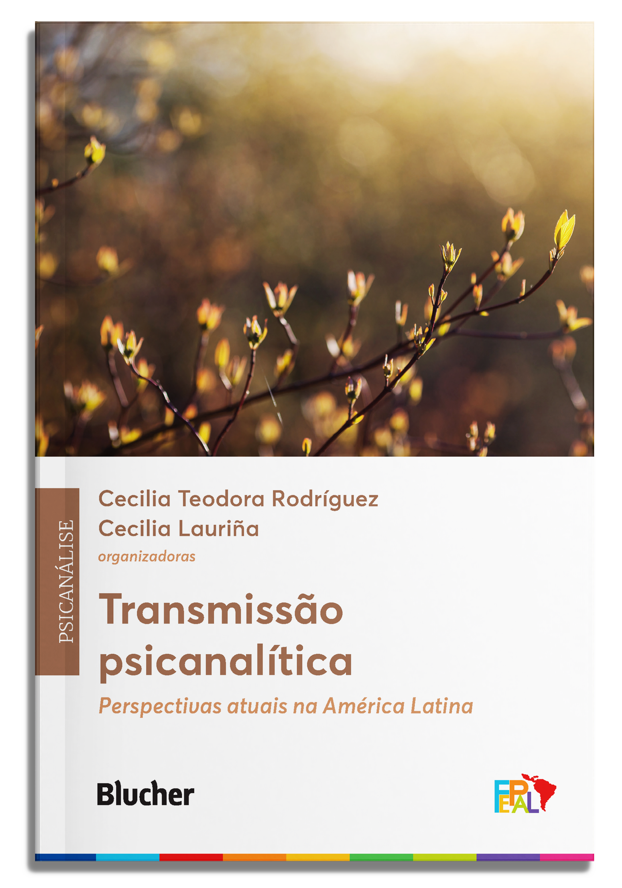 Transmissão psicanalítica