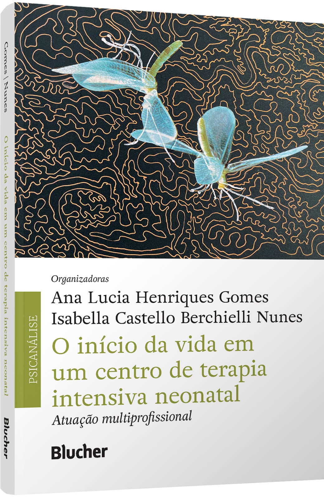 O início da vida em um centro de terapia intensiva neonatal