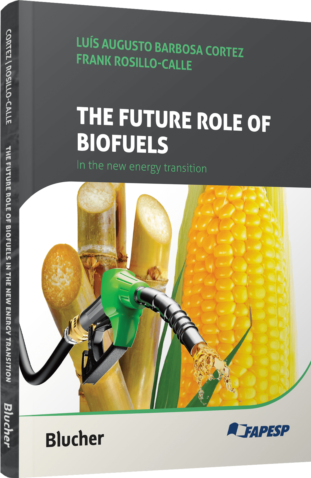 The Future Role of Biofuels in the New Energy Transition