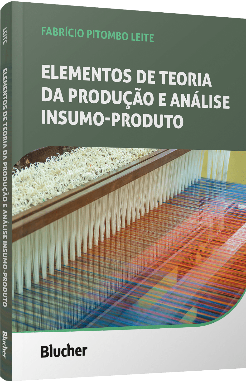 Elementos de teoria da produção e análise insumo-produto