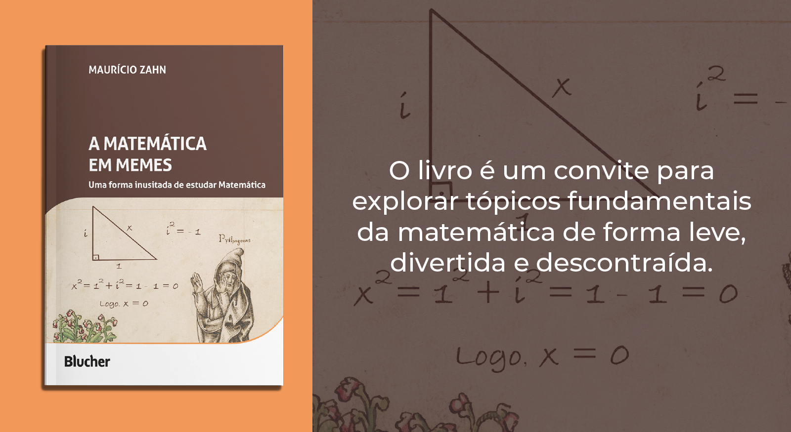 A matemática em memes