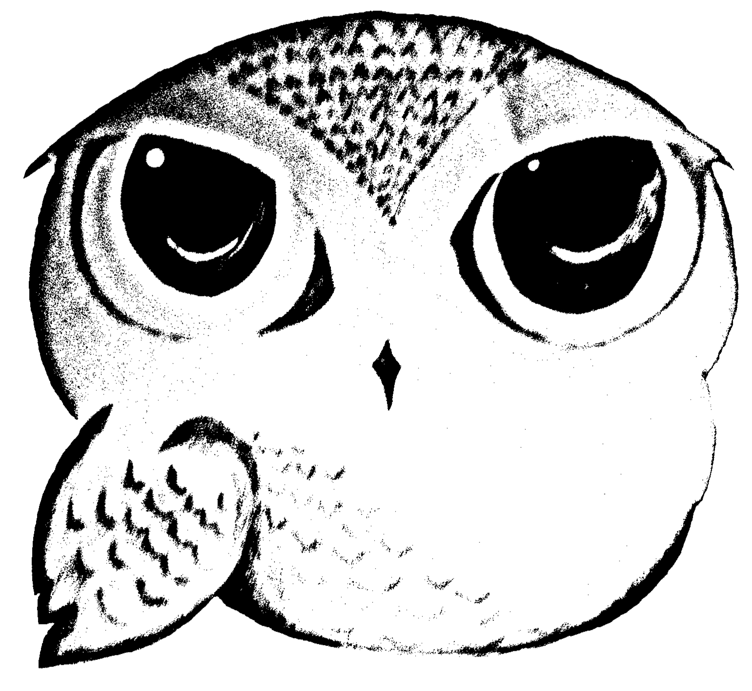 VIII SOFiA